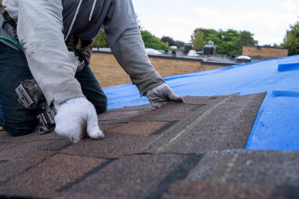 Best Roof Gutter Cleaning  in Fairmead, CA
